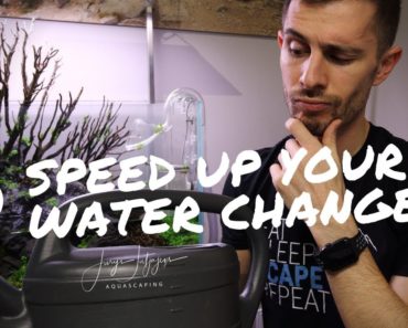 QUICK WATER CHANGE hack, speed up your aquarium water changes