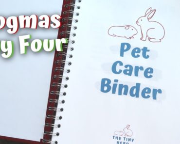 Pet Care Binder Setup