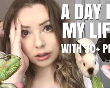 DAILY PET CARE ROUTINE WITH 30+ PETS!