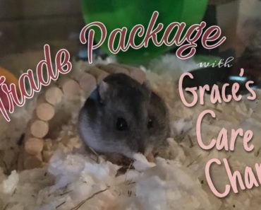 Trade Package With Grace’s Pet Care Channel!
