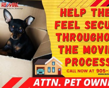 PET OWNERS: Tips to Make Your Move Easier on Your