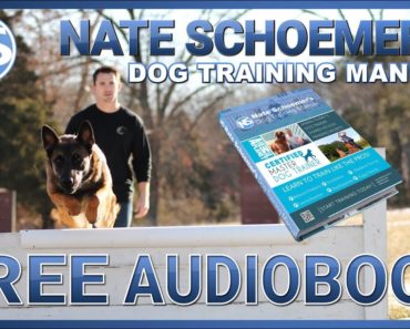 Nate Schoemer’s Dog Training Manual
