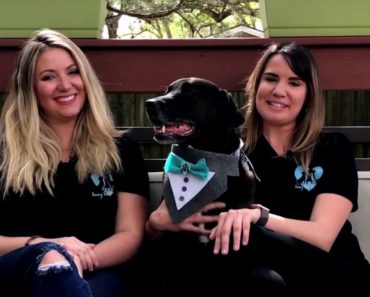 Interview with Ilana & Kelly of FairyTail Pet Care