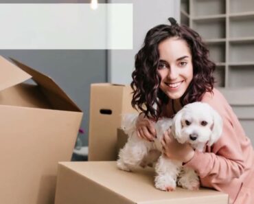 Tips For A Successful Move With Your Pet