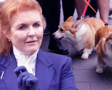Fergie shares first update on late Queen’s corgis as they