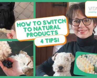 HOW TO SWITCH TO NATURAL PET CARE PRODUCTS