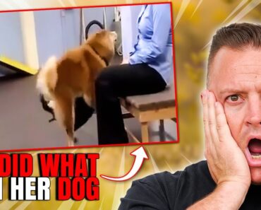 Expert Dog Trainer Breaks Down the Most INSANE Dog Videos