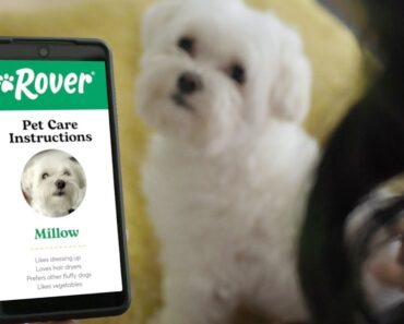 Rover Presents: Real Pet Parent Care Instructions (:30)
