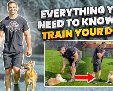 Master Dog Training: The Proven Scientific Approach